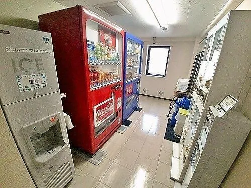 スマイルホテル東京綾瀬駅前 東京都 2*,